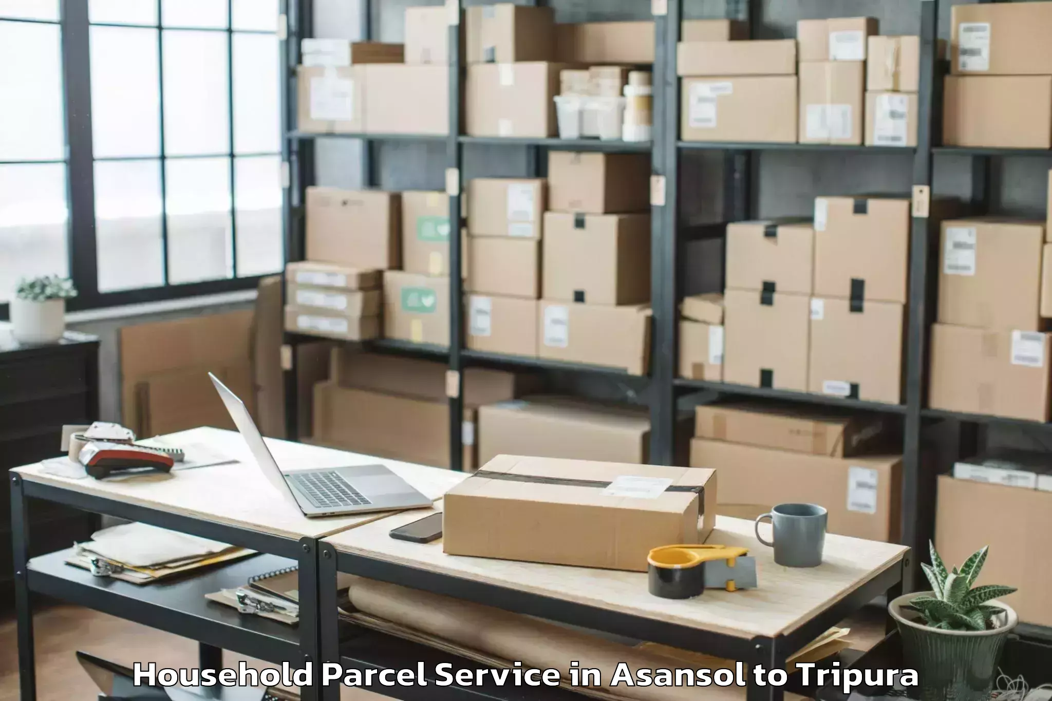 Professional Asansol to Teliamura Household Parcel